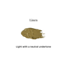 Mineral Matte Foundation | SPF 15